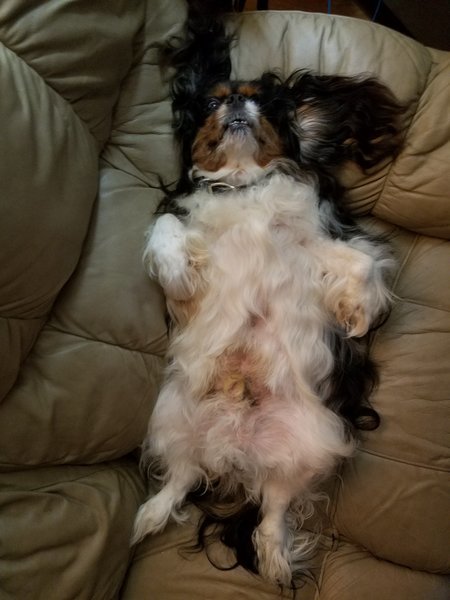 20170516_120307.jpg