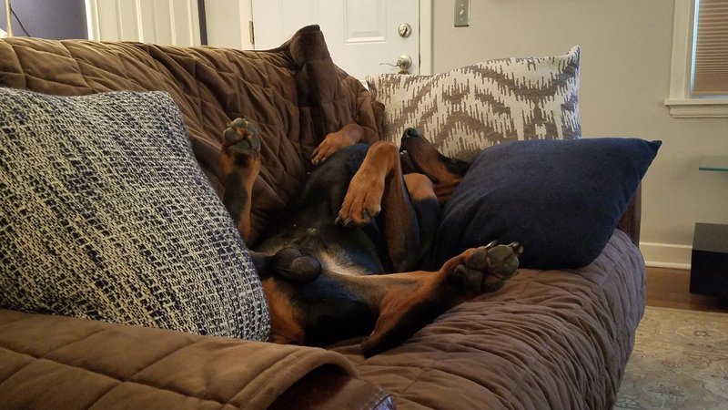 20170516_203811.jpg