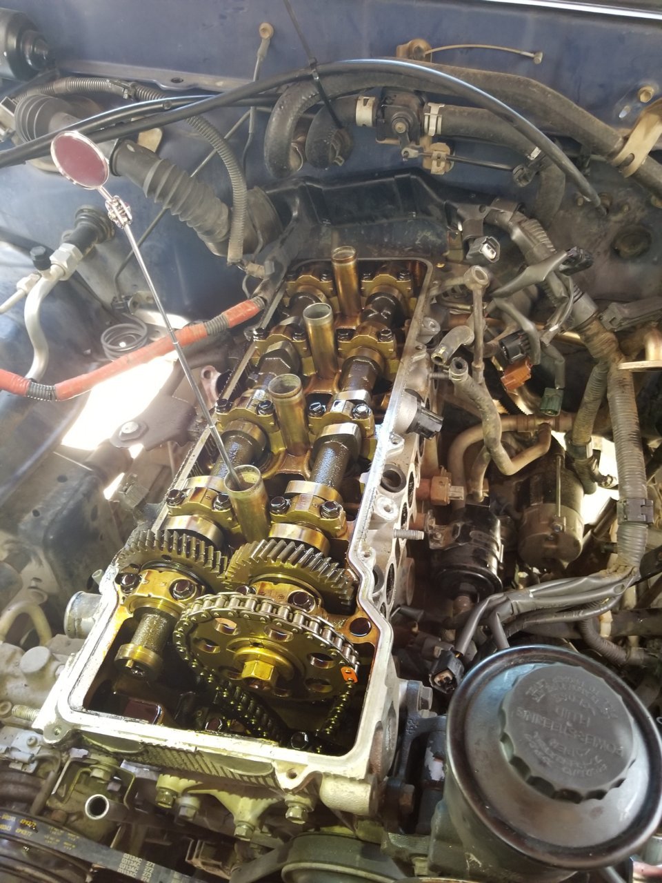20170517_145352.jpg