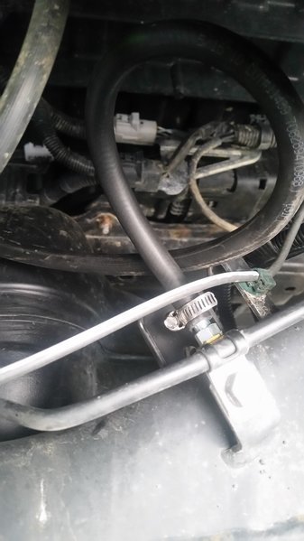 20170517_165755.jpg