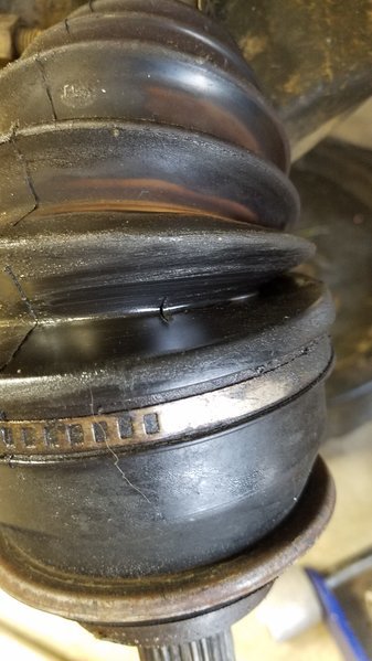 20170517_183046.jpg