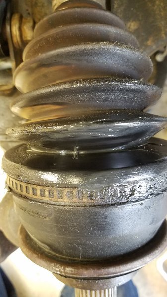 20170517_183138.jpg