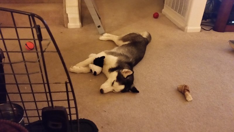20170517_223148.jpg