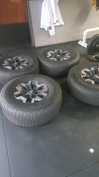 20170520_093123.jpg