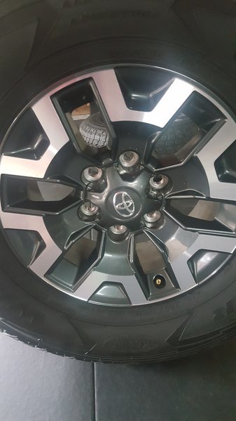 20170520_093206.jpg