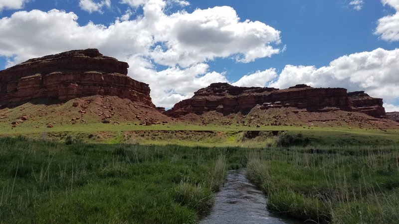 20170520_113519.jpg