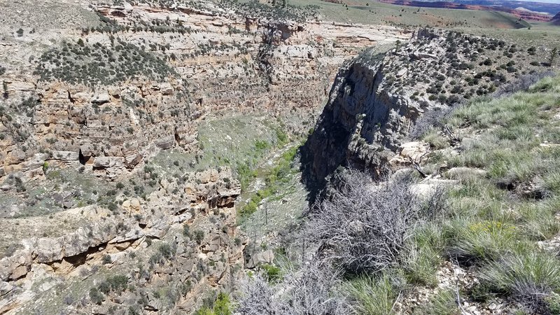 20170520_115819.jpg