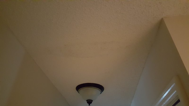20170520_165608[1].jpg