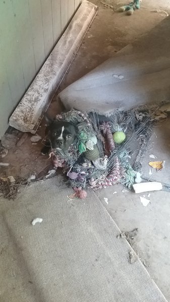 20170521_113833.jpg