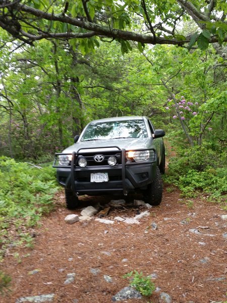 20170521_124700.jpg