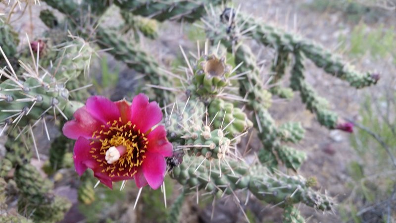 20170521_185147.jpg