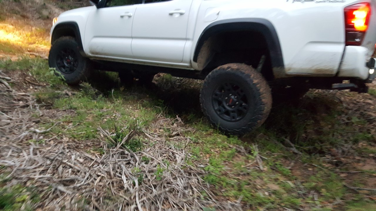 20170521_200252.jpg