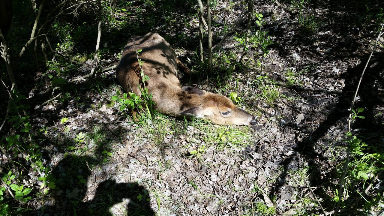 20170522_092602.jpg
