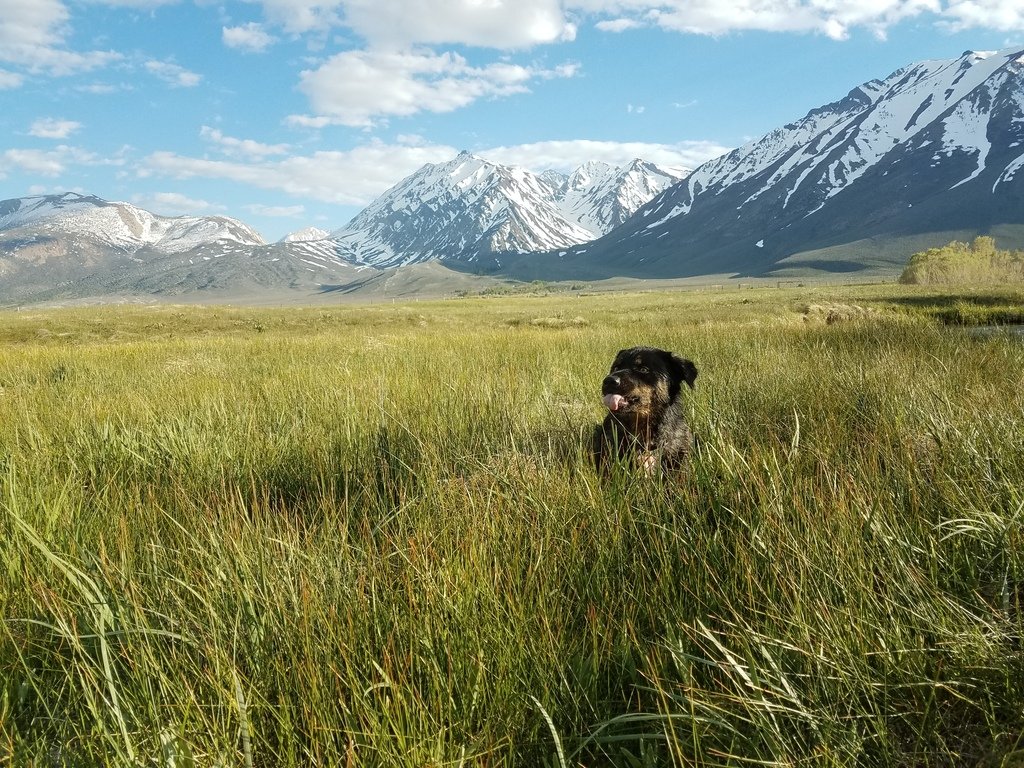20170522_183133_91b38ff9aeb0ed3c593a175aa4b4ee0dba4197ef.jpg