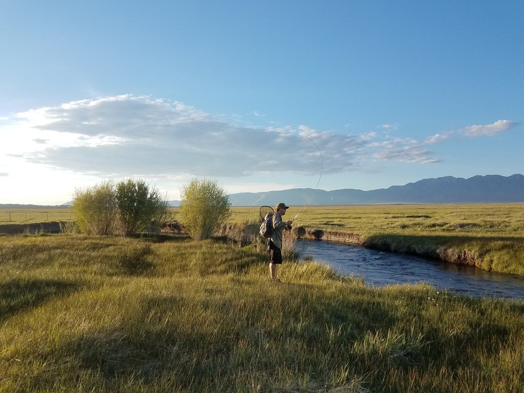 20170522_191647_3421654ae7eb02410dc09377baf7708e5e302c91.jpg