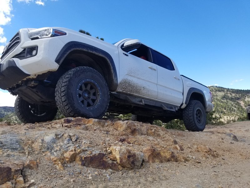 Where Have You Off-Roaded Today? 3rd Gen | Page 190 | Tacoma World