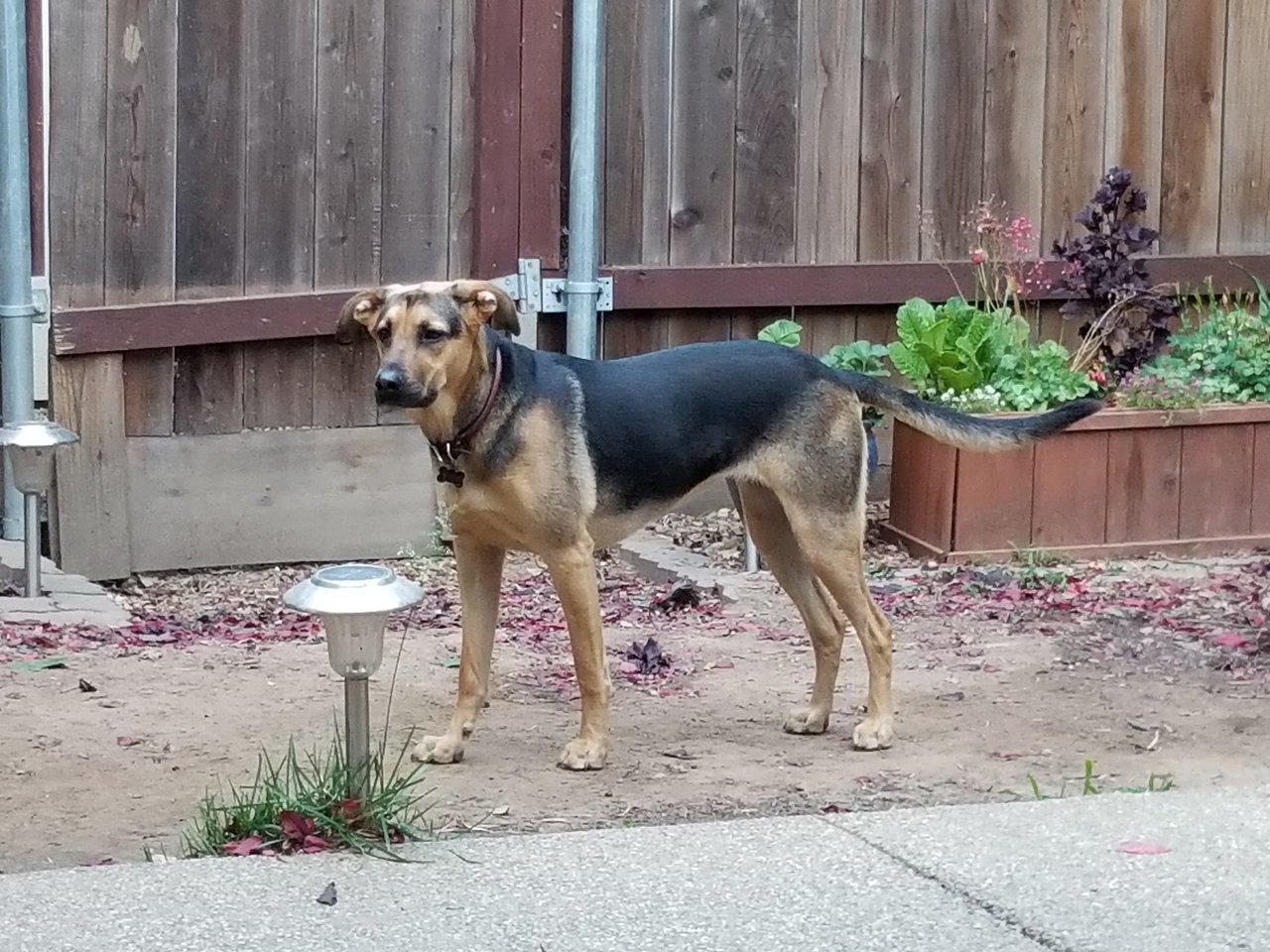 20170524_193919.jpg