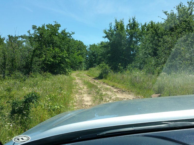 20170525_135408.jpg