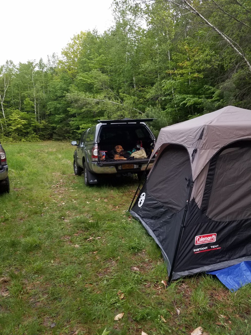20170526_195041.jpg