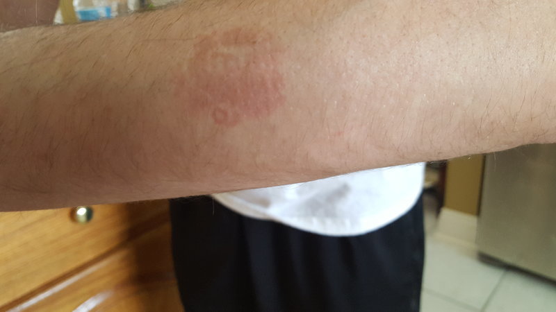 20170527_124903.jpg