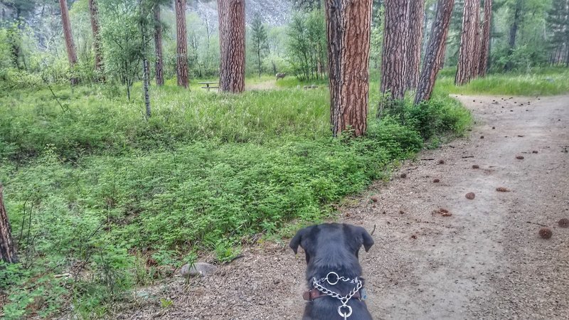 20170527_201450-01.jpg