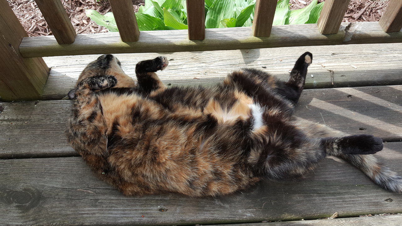 20170528_113027.jpg
