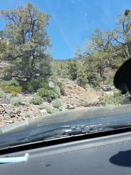 20170528_132157.jpg