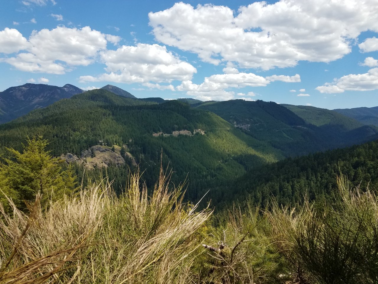 20170528_134921.jpg