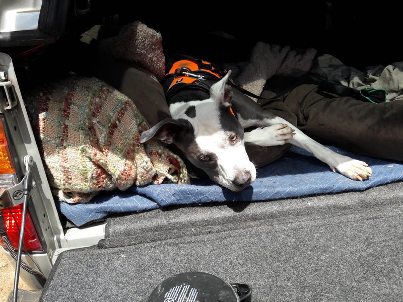 20170528_143253.jpg