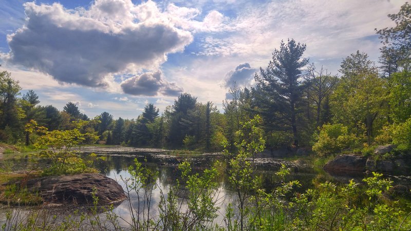20170528_171200_HDR-01.jpg