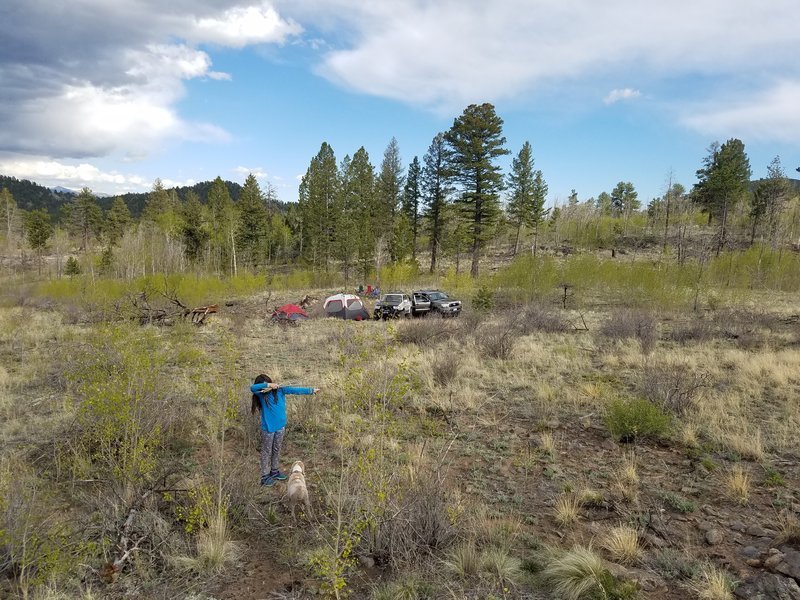 20170528_172932.jpg