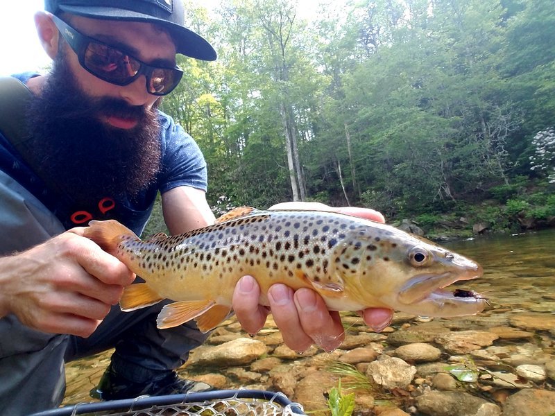20170529_102441.jpg