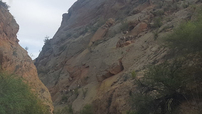 20170529_180618.jpg