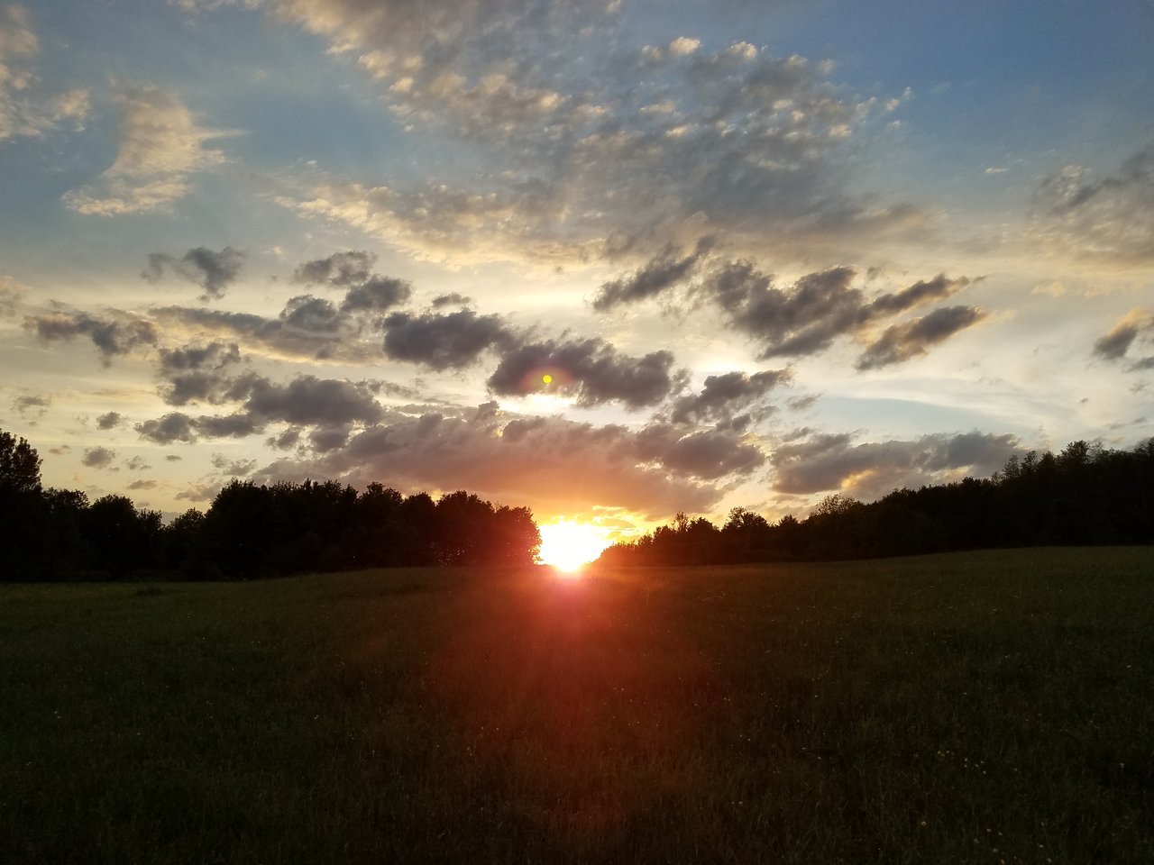 20170530_203113.jpg