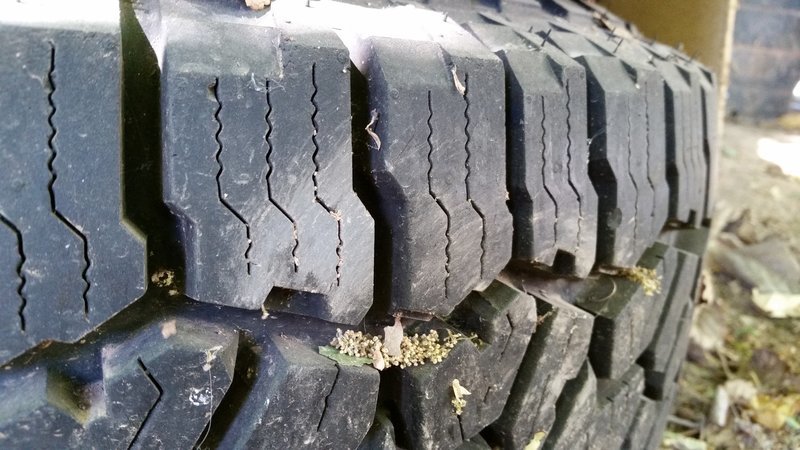 20170531_092801.jpg