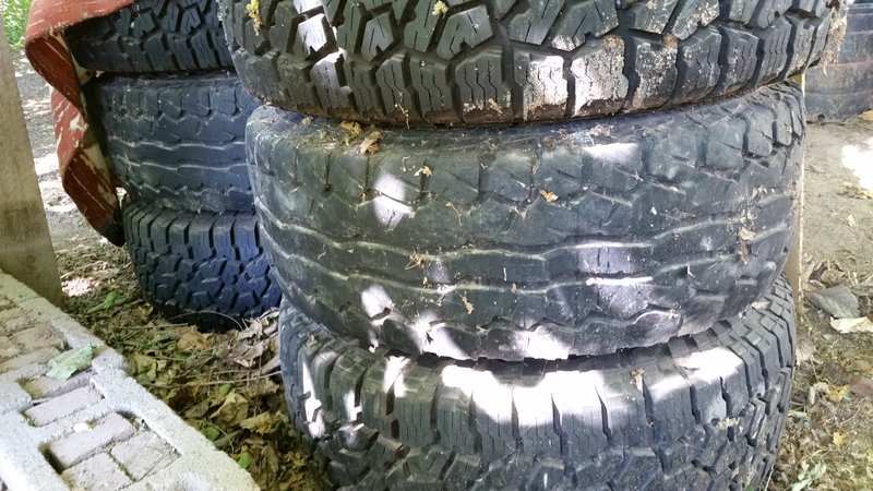 20170531_092819.jpg