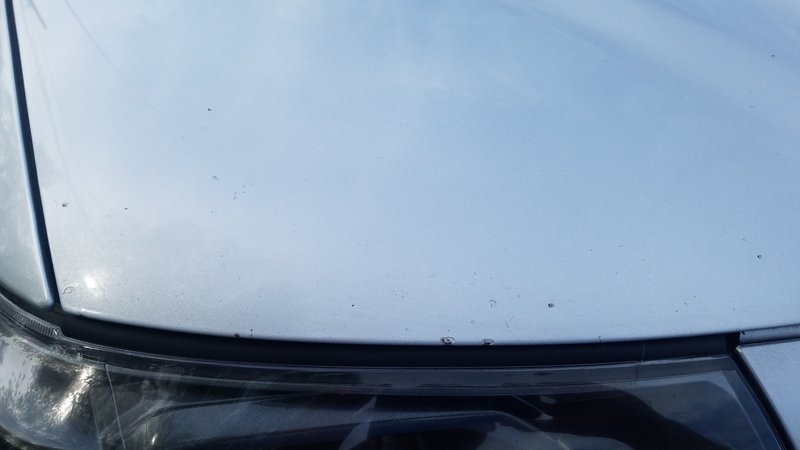 20170531_100003.jpg
