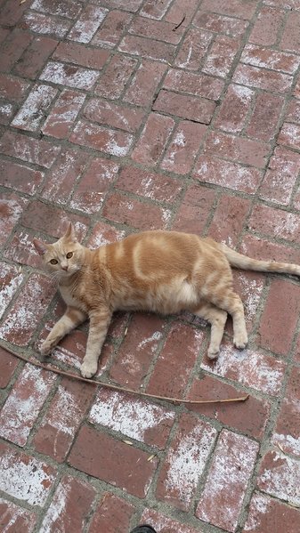 20170531_172824.jpg