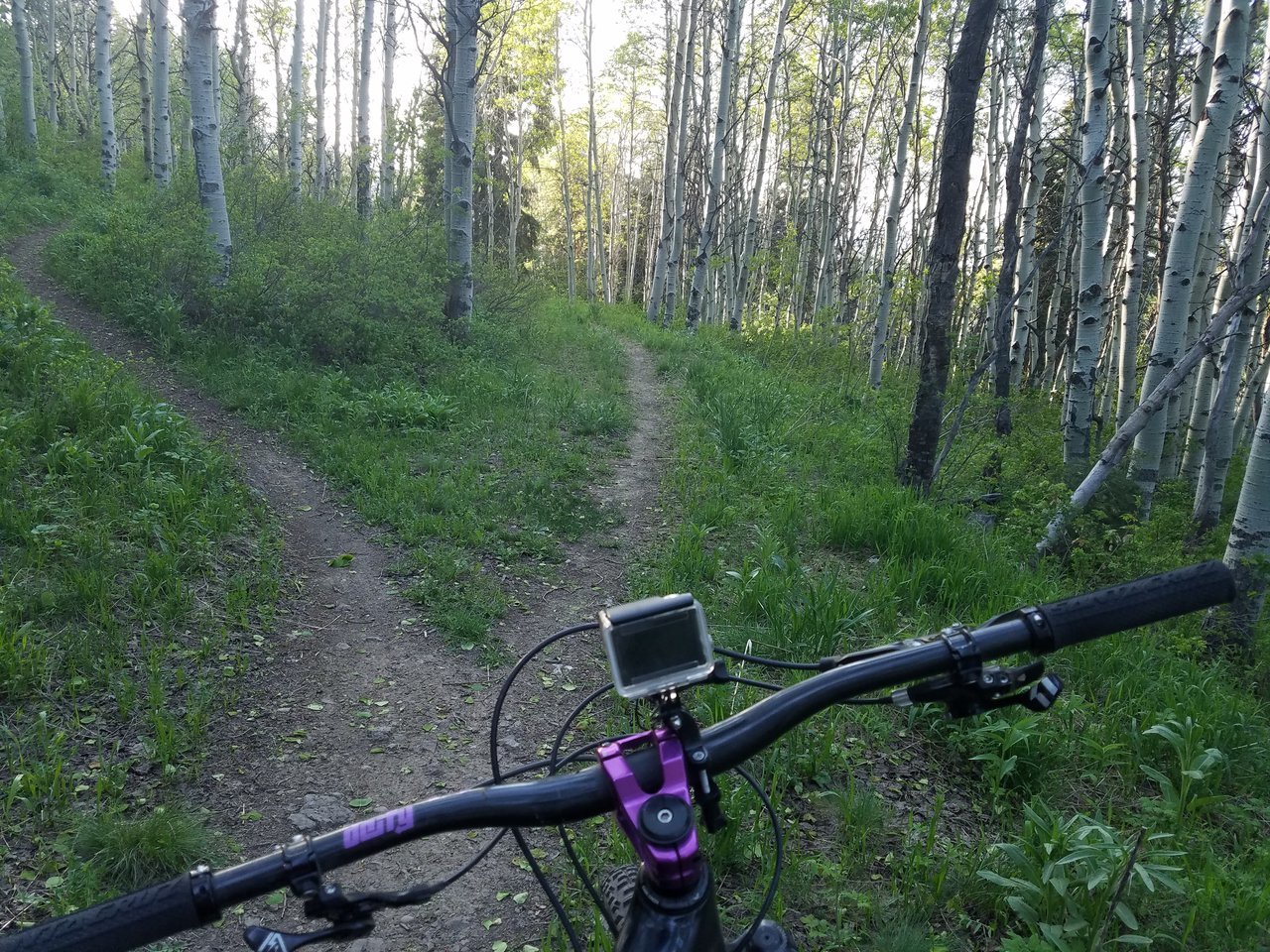 20170531_194911.jpg