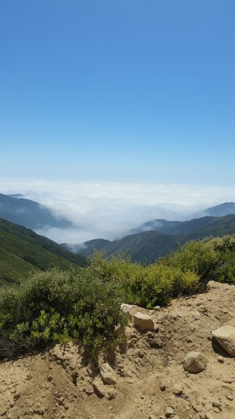20170601_142154.jpg