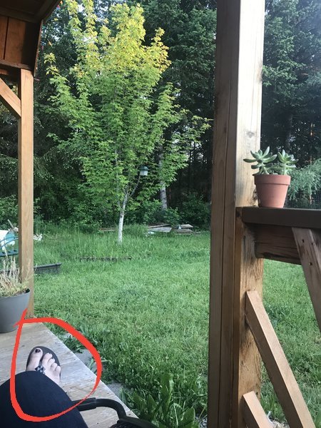 20170602_230908.jpg