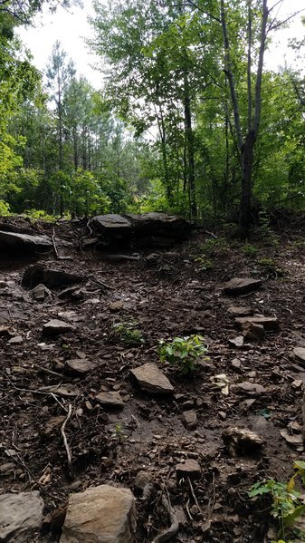 20170603_105903.jpg