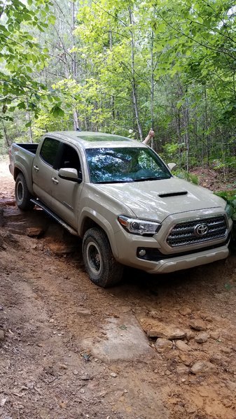 20170603_111017.jpg