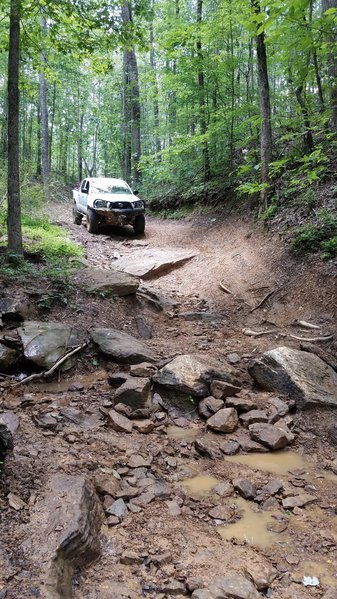 20170603_115035.jpg