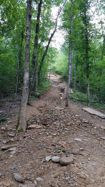 20170603_124140.jpg