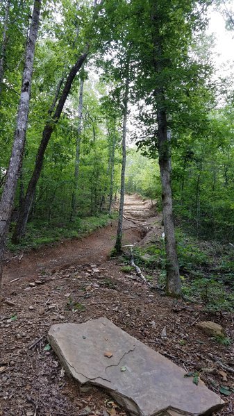 20170603_124202.jpg