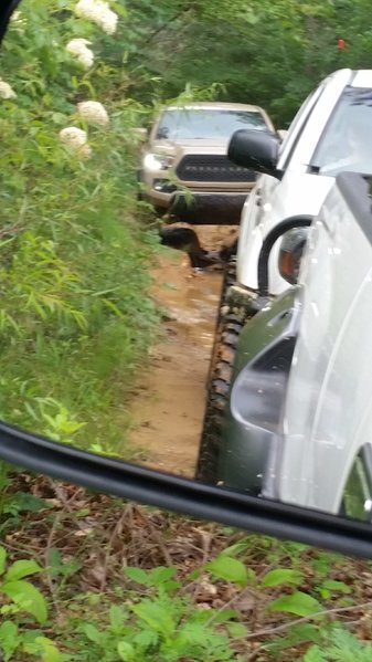 20170603_130057.jpg