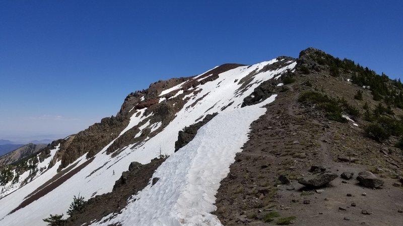 20170603_133608.jpg