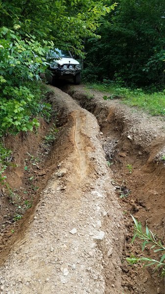 20170603_144033.jpg