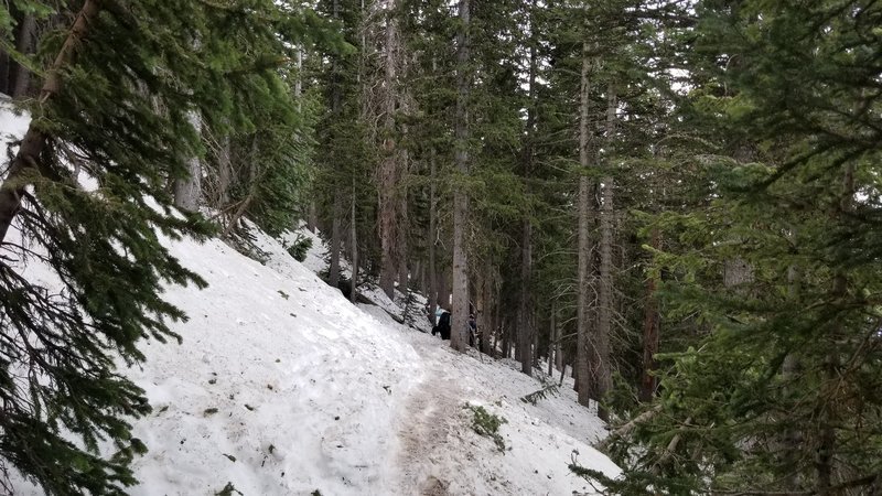 20170603_163208.jpg